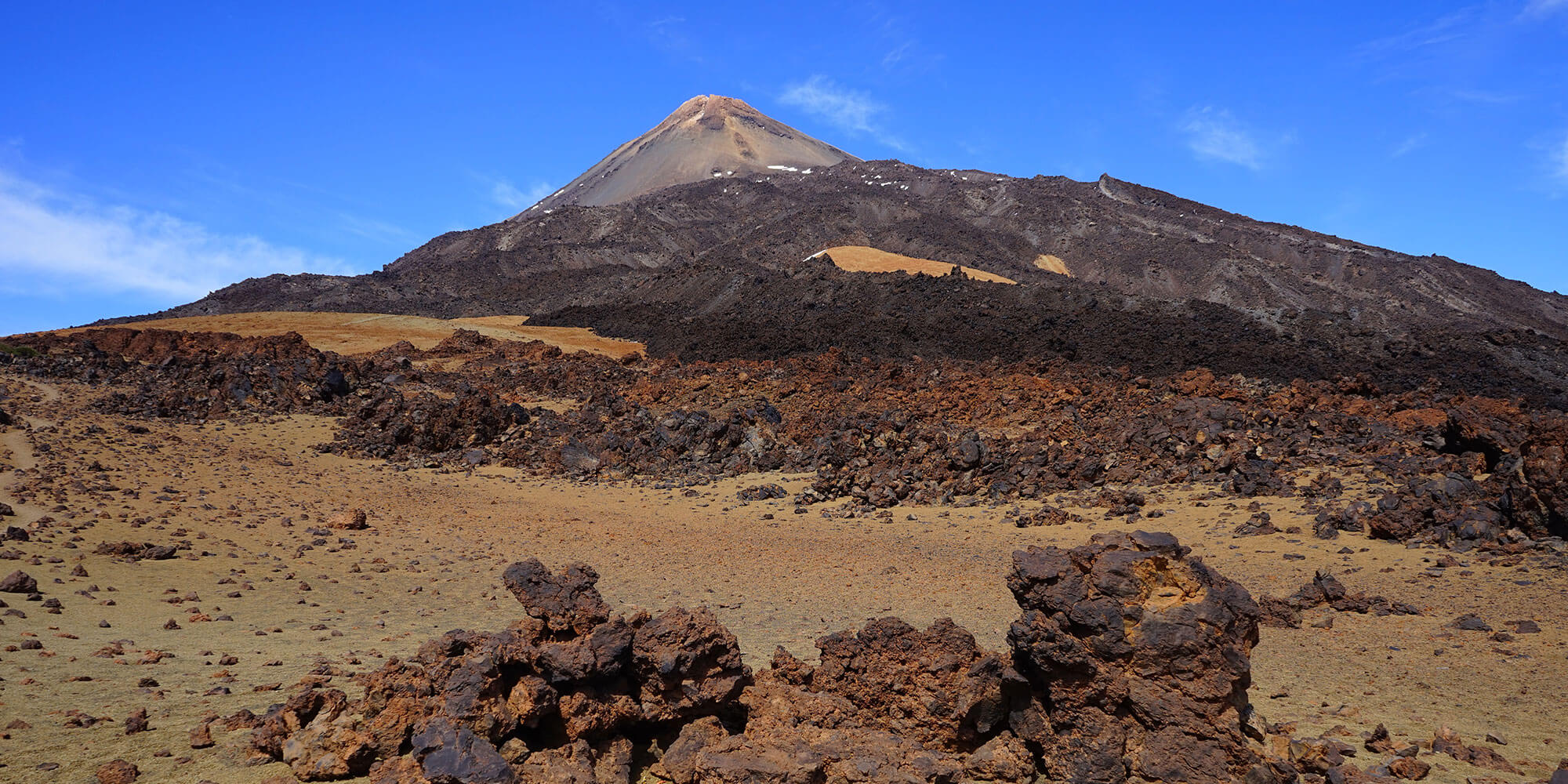 Tropical Tenerife