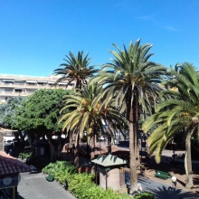 Tropical Tenerife